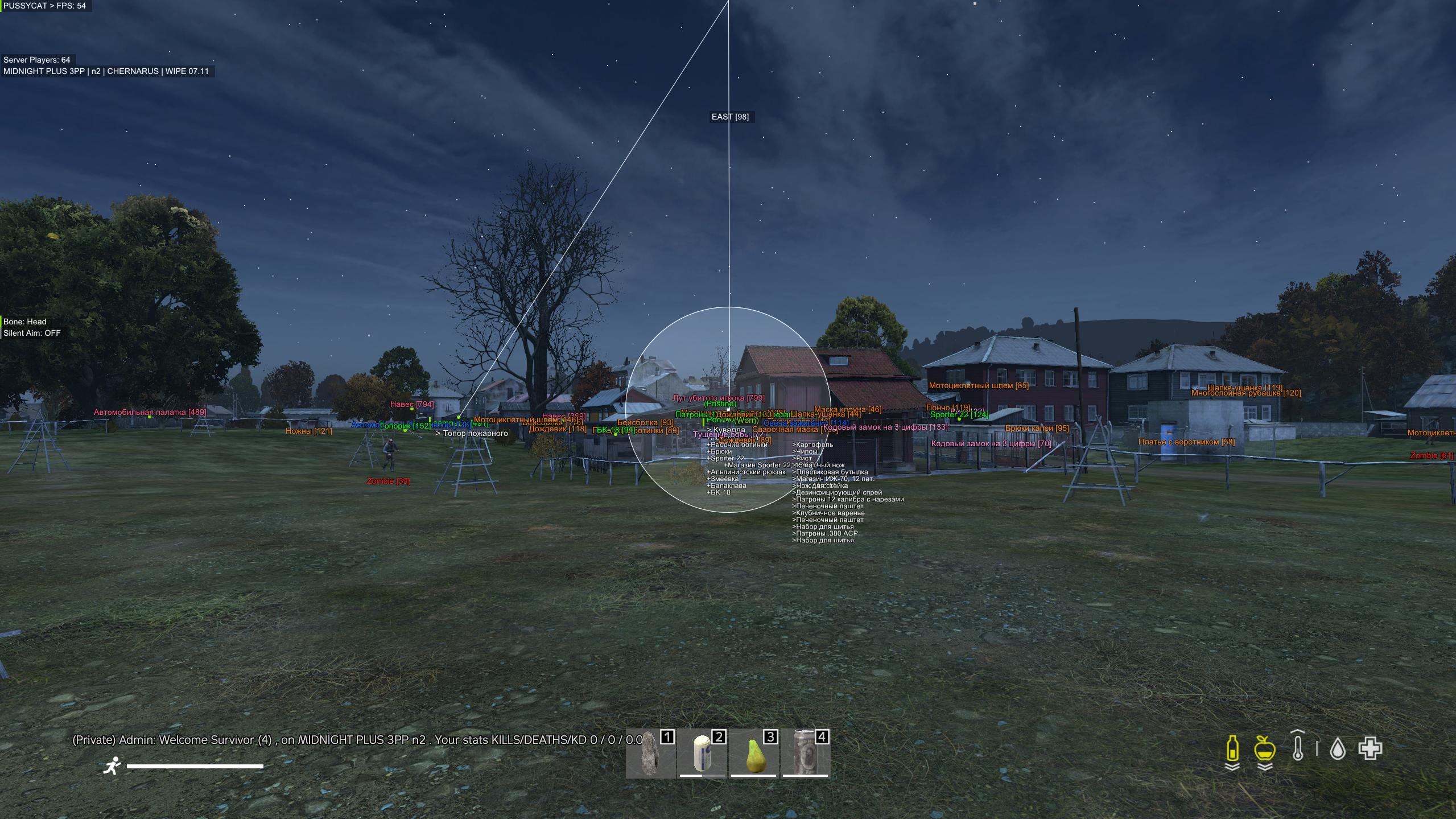 Pussycat [DayZ]